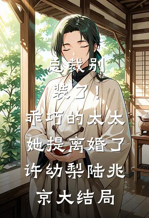总裁别装了！乖巧的太太她提离婚了许幼梨陆兆京大结局