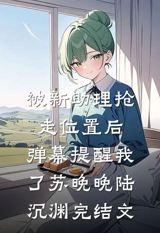 被新助理抢走位置后，弹幕提醒我了苏晚晚陆沉渊完结文