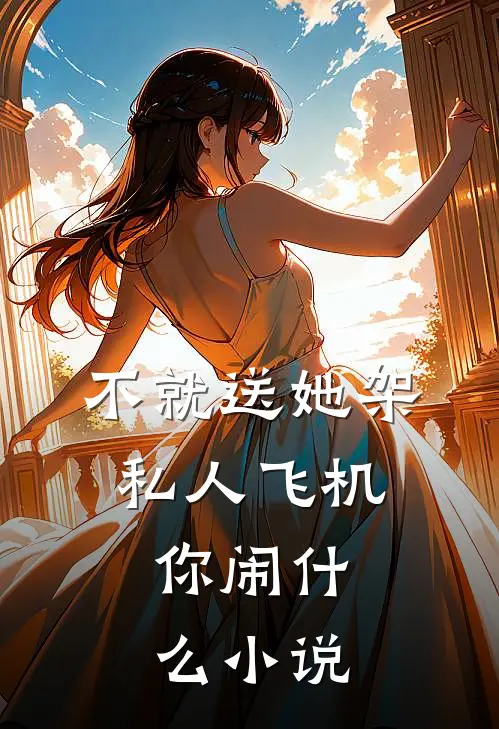 不就送她架私人飞机，你闹什么小说
