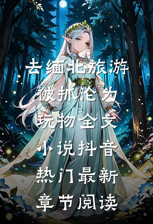 去缅北旅游被抓沦为玩物全文小说抖音热门最新章节阅读