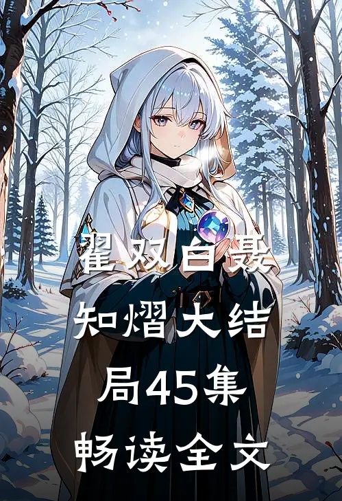 翟双白聂知熠大结局45集畅读全文