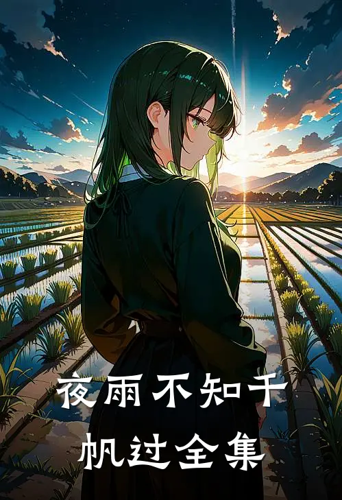 夜雨不知千帆过全集