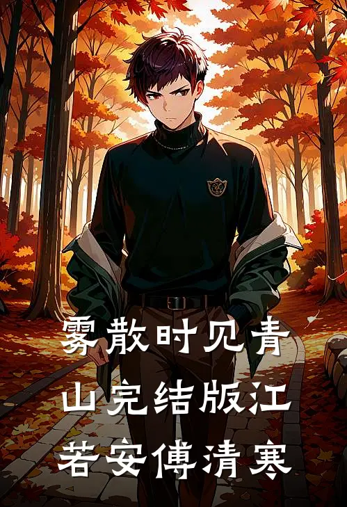 雾散时见青山完结版江若安傅清寒