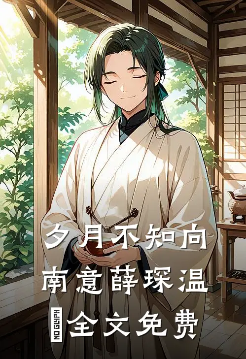 夕月不知向南意薛琛温珮全文免费