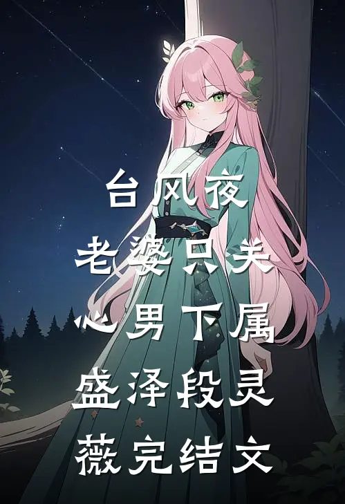 台风夜，老婆只关心男下属盛泽段灵薇完结文