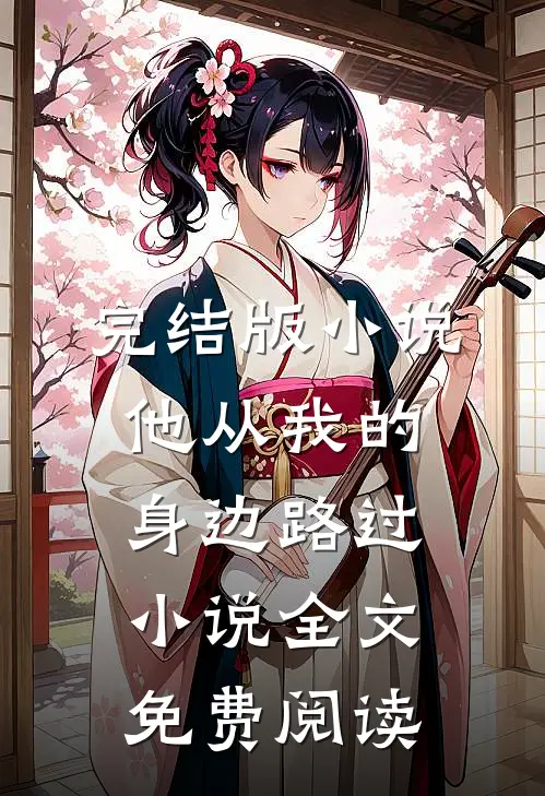 完结版小说他从我的身边路过小说全文免费阅读