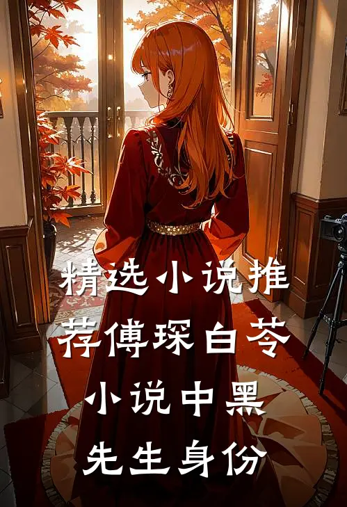 精选小说推荐傅琛白苓小说中黑先生身份