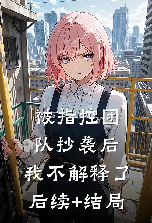 被指控团队抄袭后，我不解释了后续+结局