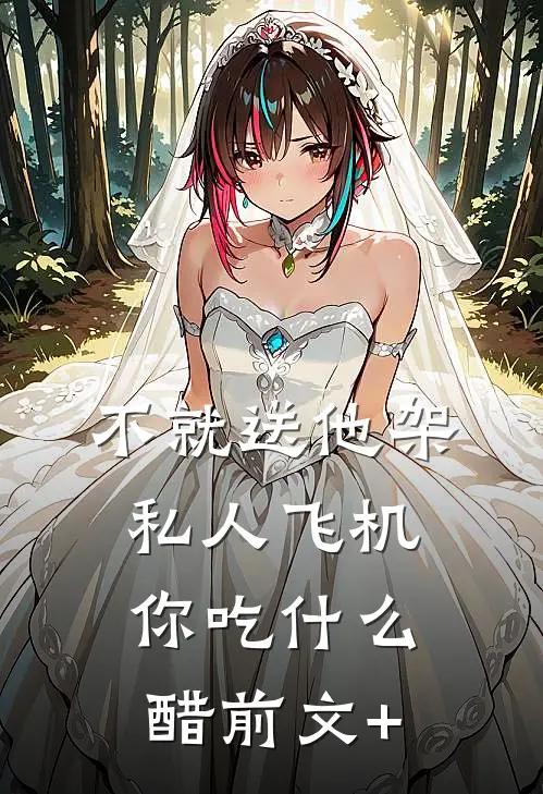不就送他架私人飞机，你吃什么醋前文+