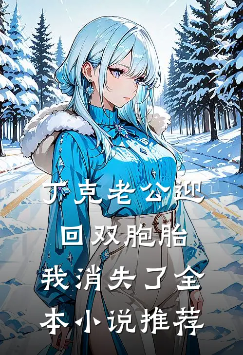 丁克老公迎回双胞胎，我消失了全本小说推荐