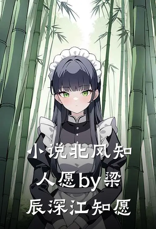 小说北风知人愿by梁辰深江知愿