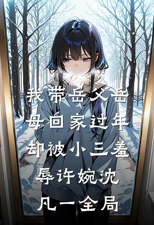 我带岳父岳母回家过年，却被小三羞辱许婉沈凡一全局