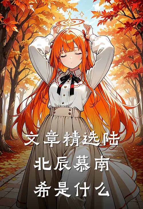 文章精选陆北辰慕南希是什么