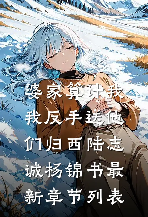 婆家算计我，我反手送他们归西陆志诚杨锦书最新章节列表
