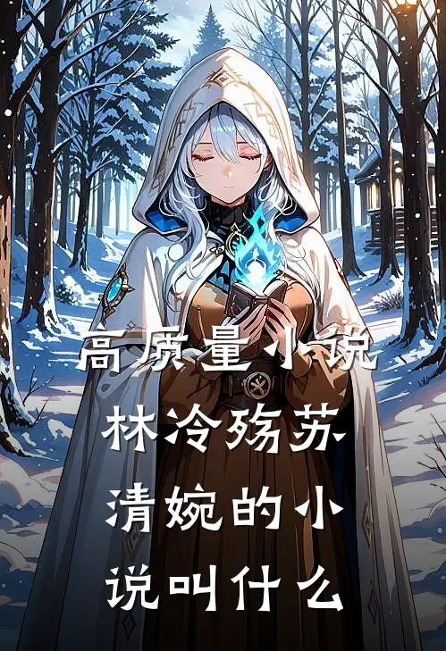 高质量小说林冷殇苏清婉的小说叫什么