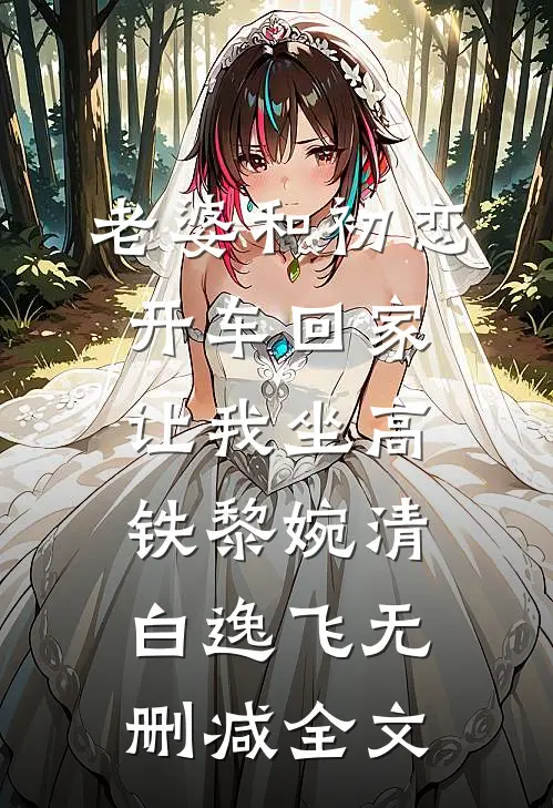 老婆和初恋开车回家，让我坐高铁黎婉清白逸飞无删减全文