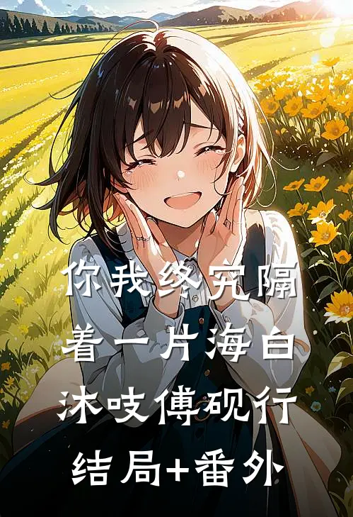 你我终究隔着一片海白沐吱傅砚行结局+番外