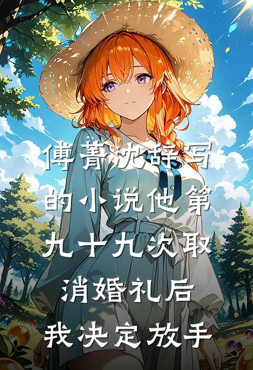 傅菁沈辞写的小说他第九十九次取消婚礼后，我决定放手