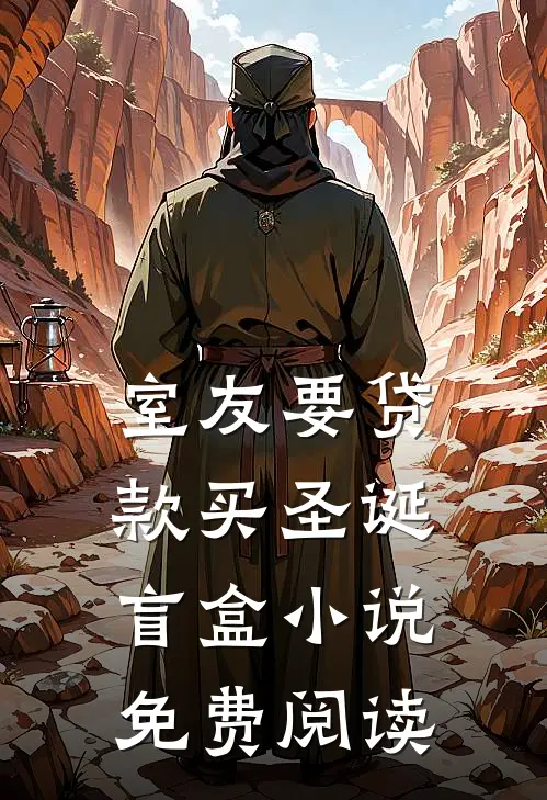 室友要贷款买圣诞盲盒小说免费阅读