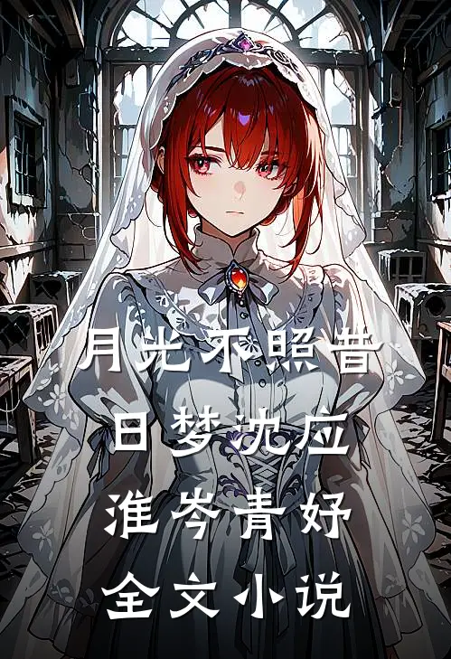 月光不照昔日梦沈应淮岑青妤全文小说