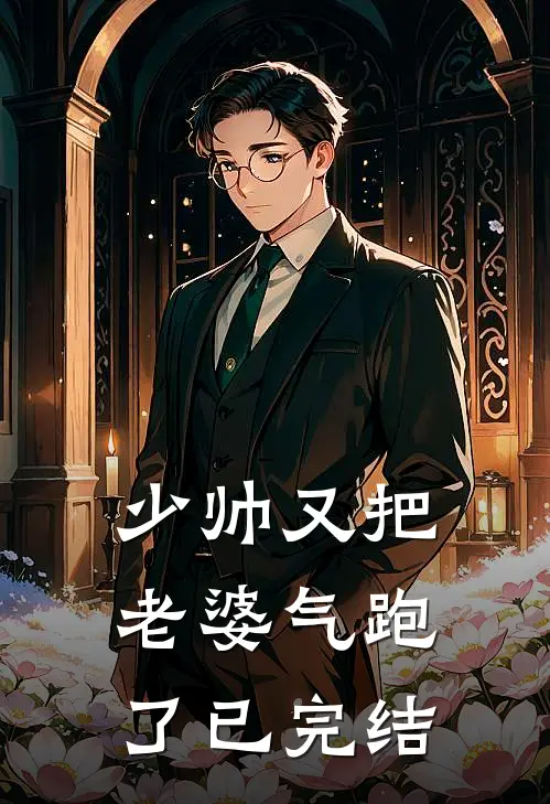 少帅又把老婆气跑了已完结