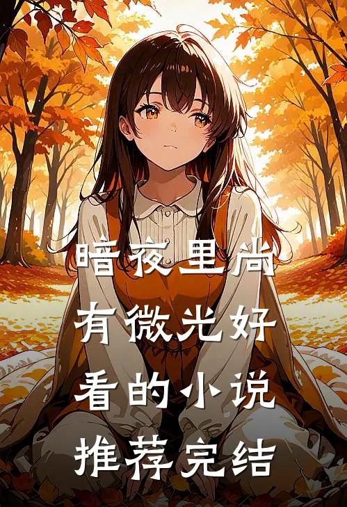 暗夜里尚有微光好看的小说推荐完结
