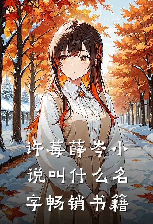 许莓薛岑小说叫什么名字畅销书籍