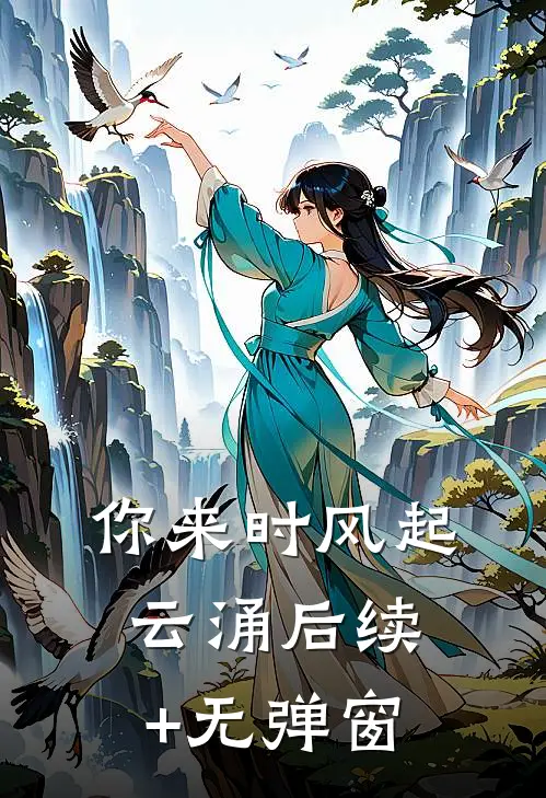 你来时风起云涌后续+无弹窗