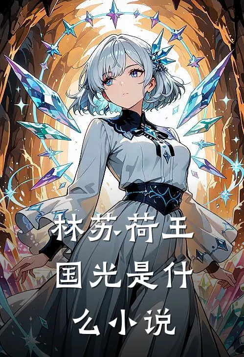 林苏荷王国光是什么小说