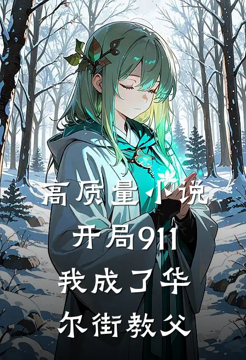 高质量小说开局911，我成了华尔街教父