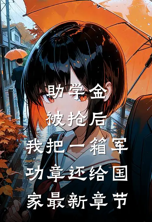 助学金被抢后，我把一箱军功章还给国家最新章节