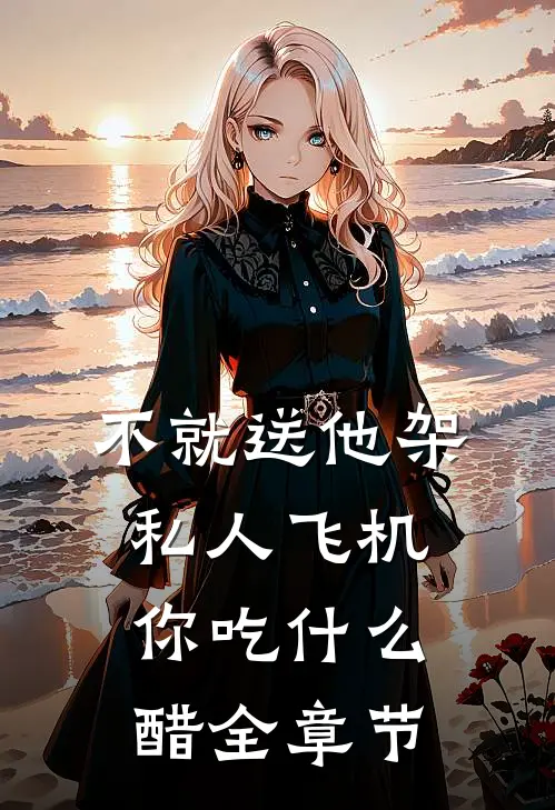 不就送他架私人飞机，你吃什么醋全章节