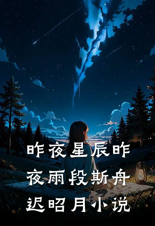 昨夜星辰昨夜雨段斯舟迟昭月小说