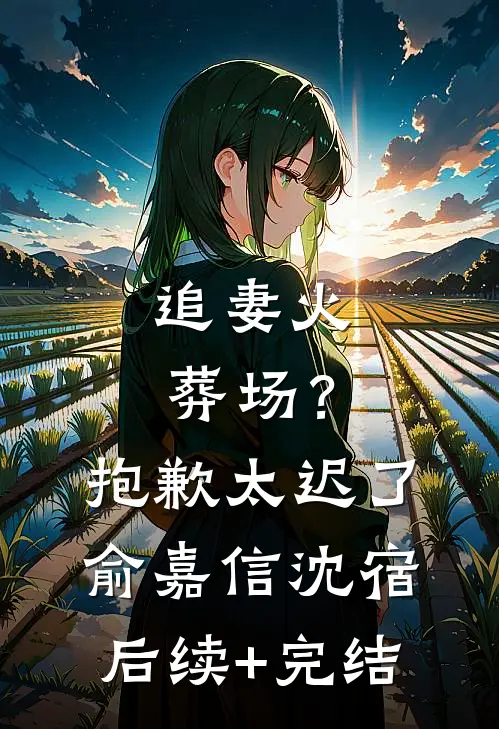 追妻火葬场？抱歉，太迟了俞嘉信沈宿后续+完结
