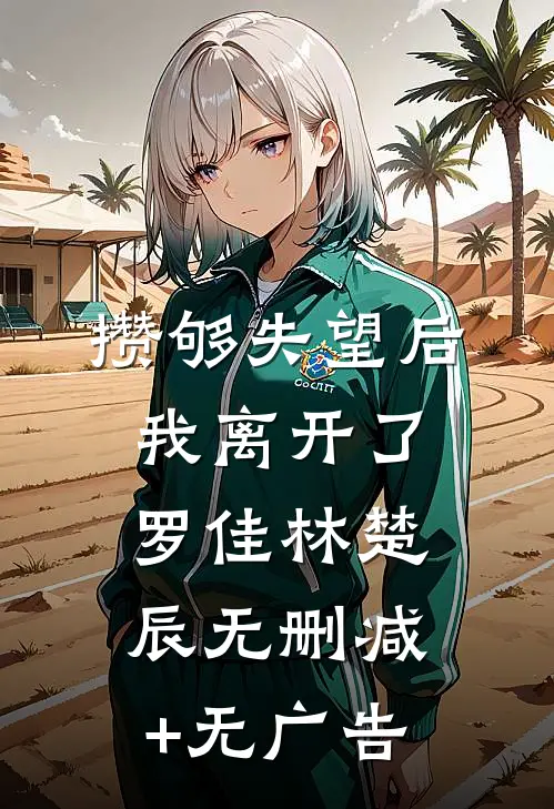 攒够失望后，我离开了罗佳林楚辰无删减+无广告