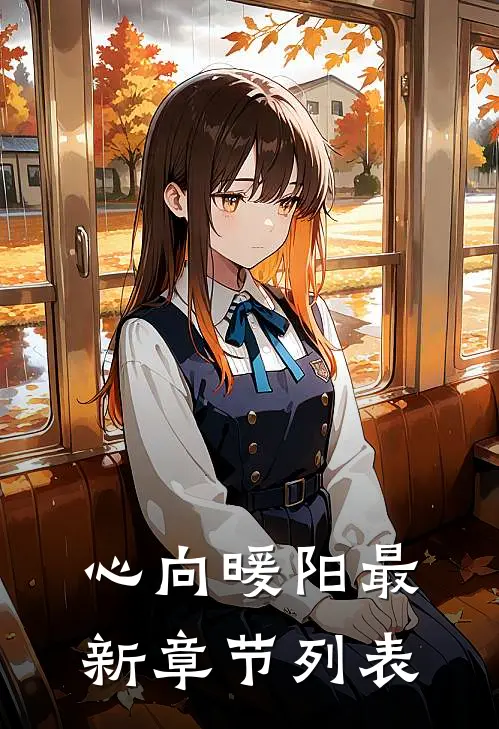 心向暖阳最新章节列表