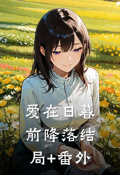 爱在日暮前降落结局+番外