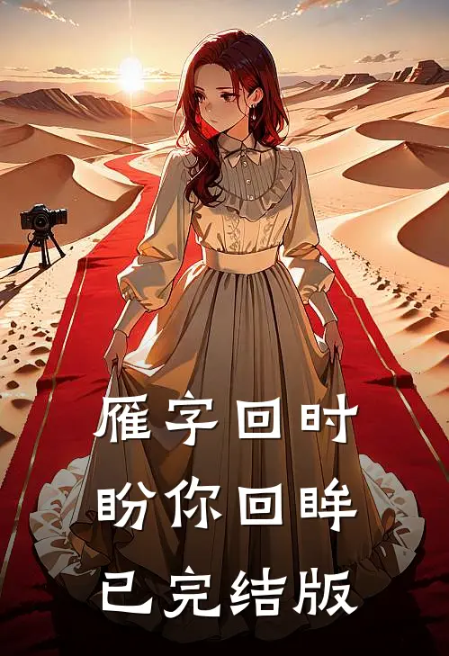 雁字回时盼你回眸已完结版