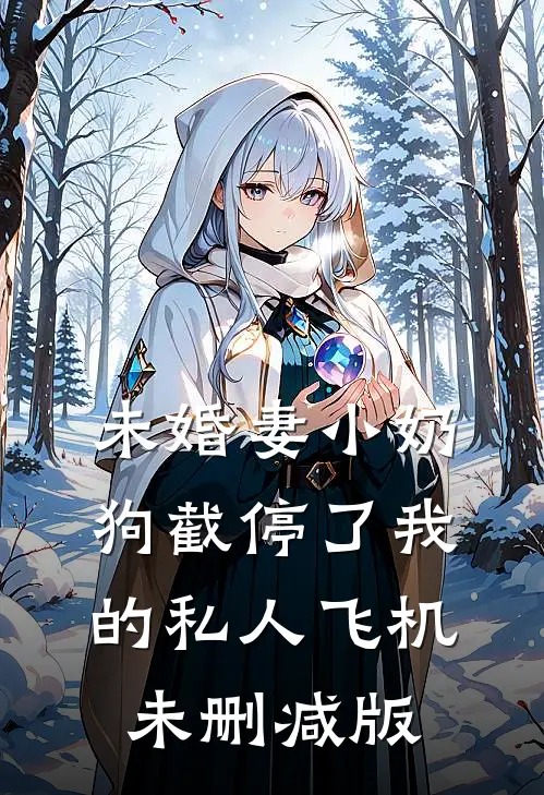 未婚妻小奶狗截停了我的私人飞机未删减版