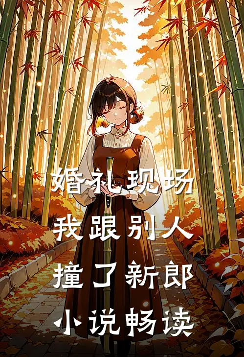 婚礼现场，我跟别人撞了新郎小说畅读