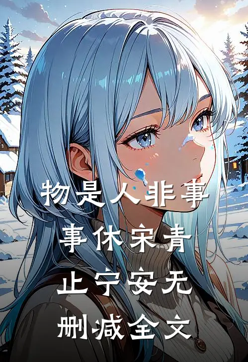 物是人非事事休宋青止宁安无删减全文