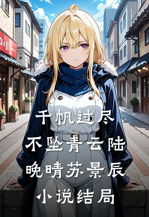 千帆过尽，不坠青云陆晚晴苏景辰小说结局