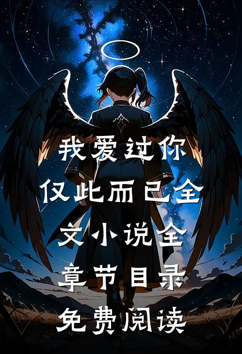 我爱过你，仅此而已全文小说全章节目录免费阅读
