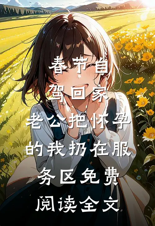 春节自驾回家，老公把怀孕的我扔在服务区免费阅读全文