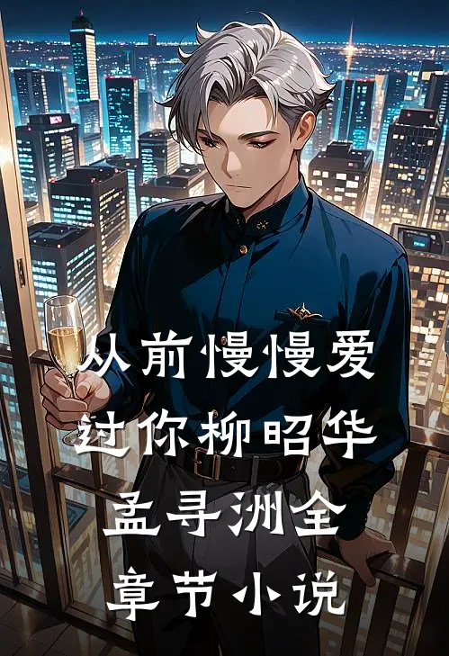 从前慢慢爱过你柳昭华孟寻洲全章节小说
