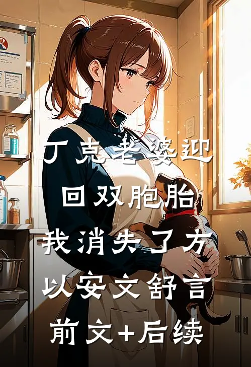 丁克老婆迎回双胞胎，我消失了方以安文舒言前文+后续