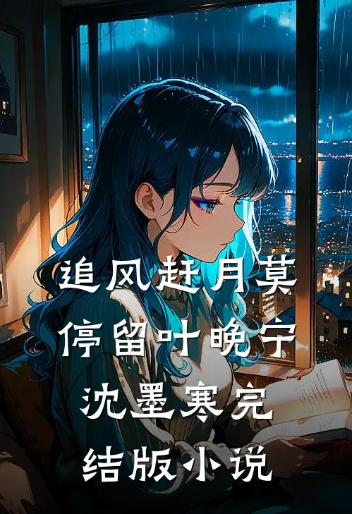 追风赶月莫停留叶晚宁沈墨寒完结版小说