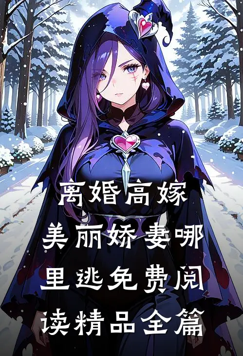 离婚高嫁:美丽娇妻哪里逃免费阅读精品全篇