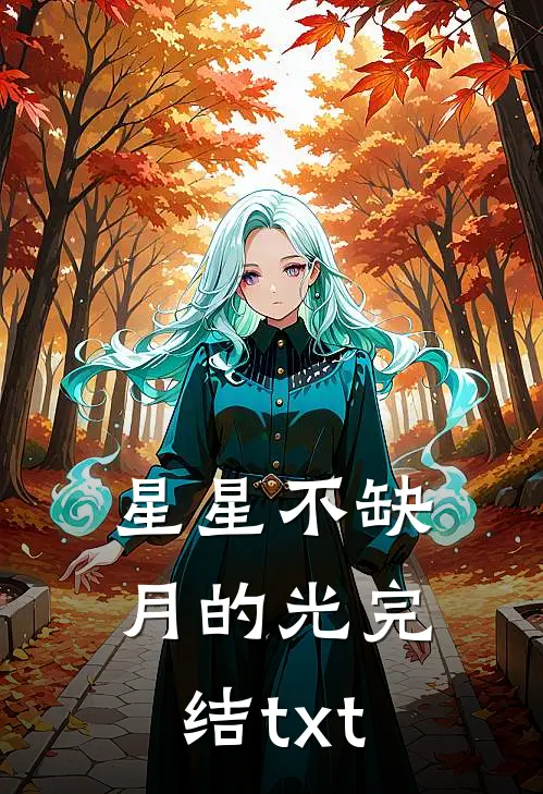 星星不缺月的光完结txt