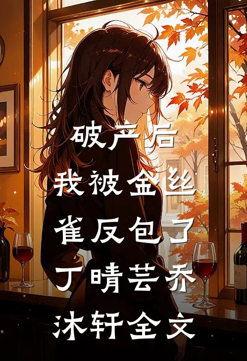 破产后，我被金丝雀反包了丁晴芸乔沐轩全文
